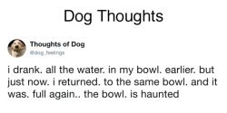 some-sort-of-ecologist:  thriveworks: Dog Thoughts (see 10 more)