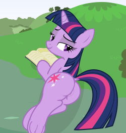 Just the book horse with a book… :3THIS IS A SERIES AND