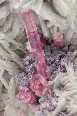 fuckyeahmineralogy:  Elbaite with Quartz, Albite, Lepidolite;