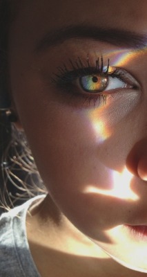 silly-luv:  ♡ find your best posts on my blog ♡