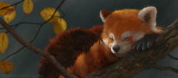awwww-cute:  I made this for my boyfriend. He loves red pandas!