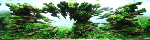 88floors:  The Underwater Art of Competitive Aquascaping The world of competitive aquarium design, or aquascaping, is just as difficult, expensive, and cutthroat as any other sport but requires expertise in many different fields to guarantee success.