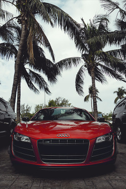 fine-luxury:  Fine-Luxury.co - High Quality Luxury Blog