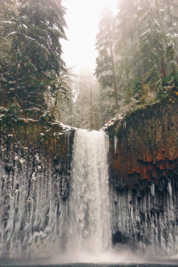 expressions-of-nature:  Frozen Paradise by Paul Barger 