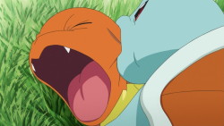 thatmetticguy:  therandominmyhead:  Payback.  However blastoise