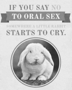 why would you make a bunny sad!?!?WHY!?