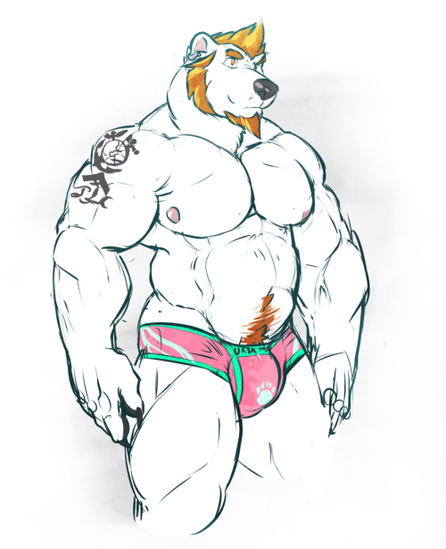 grimfaust:  Sketch dump: bears tigers and dire wolves 