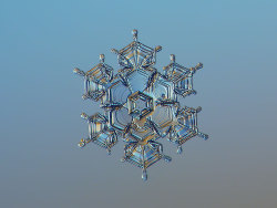 bobbycaputo:    Macro Photos of Snowflakes by Alexey Kljatov