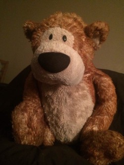 mindfulecho:  This is my FAVOURITE teddy bear, Mr. Bear/Teddy.