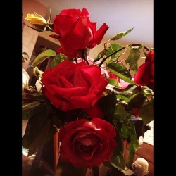 #roses #rosas  (at Hacienda Pèrez-Garcia)