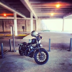 jtburg:  There she waits… #harleydavidson #sportster #afterwork