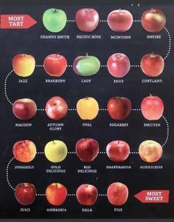 trashboat: great graphic, very helpful for selecting apples in