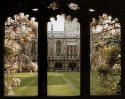 bonitavista:    Magdalen College, Oxford, England photo via  charlotte 