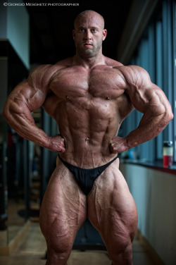 MUSCLEINGEAR
