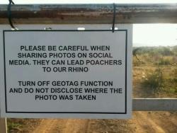 bobbycaputo:  Geotagged Wildlife Photos Help Poachers Kill Endangered