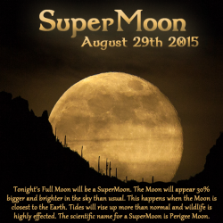 wiccateachings:  Tonight’s Full Moon will be a SuperMoon. The
