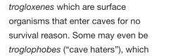 wrinklycat:  Im fucking tired of cave haters coming into my cave