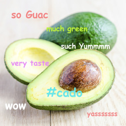 dennys:  A classic meme for a classic fruit: avocadoge.