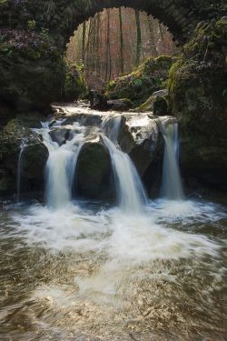 myprettyuniverse:  Mullerthal falls, Luxembourg by Baltramaitis