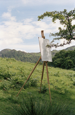 wetheurban:  Tree Drawings, Tim KnowlesA closer look at British