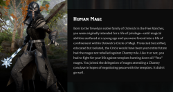 ageofdragon:   Dragon Age Inquisition: Mage Backstories Human