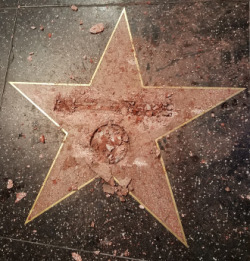 kimidakewooooo: senpai76:  hman:    “…Trump’s star on the Hollywood