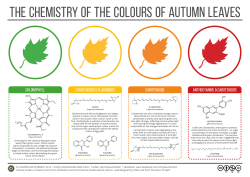 compoundchem: It’s the first day of autumn in the northern