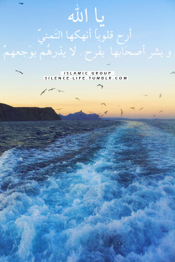 صمت الحياة
