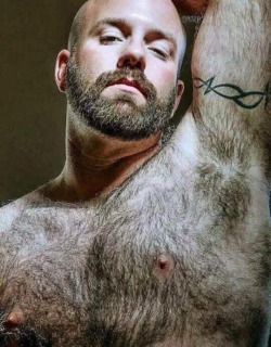 chinchoso:  bearpitpig:  #HairyPits #Armpits #Bear #Pits #MuscleBear