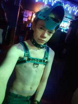 pupbambino:had great time at kennel Klub in Manchester at the