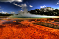 odditiesoflife:  Grand Prismatic Spring Located in Yellowstone