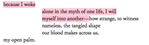 salemwitchtrials:  Aubade Ending with the Death of a Mosquito, Tarfia