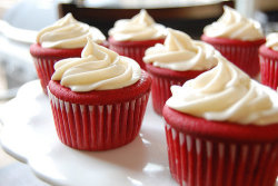 drunkcravings:  Red Velvet Cupcakes with Cream Cheese Frostingmakes