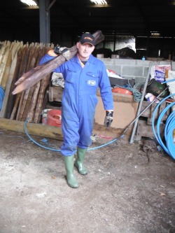 pro1892:  worklad12: Working on the sheep farm in Wales- Worklad12