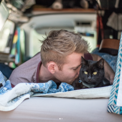 catsbeaversandducks: Rich & Willow - Traveling Cat  “Quit