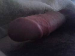 weisssex:  My dick. What do you think ?