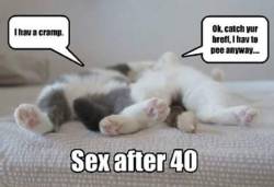 soft-kitti3:  😂😂😂😂So true!!!