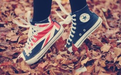 whathecat:  Converse All Star <3 !!! @_@ ^_^ :) xD