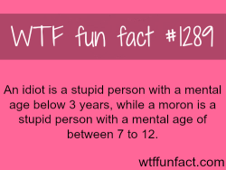 wtf-fun-facts:  The difference between idiot and moron an idiot
