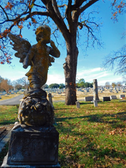 offthebeatenpathtexas:  Willow Wild Cemetery, Bonham, Texas 2015