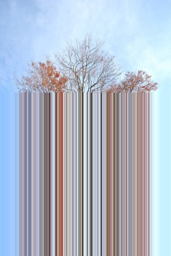 gaksdesigns:  Tree Code by Alberto Baldelli 