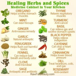 muffintop-less:  Healing Herbs & Spices! 