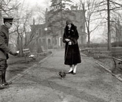 Lois Hoover and her pig go out for a stroll in Washington, D.C.