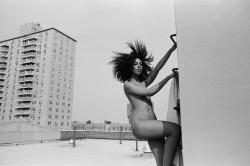 elisleepless:  bronx rooftop with artist Rocio 