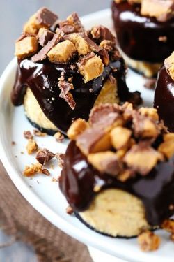 thechocolatebrigade:  Reeses Peanut Butter Chocolate Mini Cheesecakes