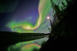 Mesmerize me (Aurora Borealis recently photographed over Whitehorse,