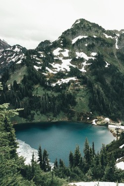 alecsgrg:  Searching for snow | ( by Dylan Furst )    I know