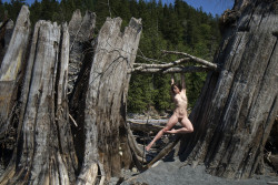 jacsfishburne:  Katlyn (May 28, 2015 | Olympic National Park,