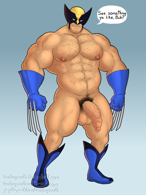 headingsouthart:  Wolverine, stocky and hairy  