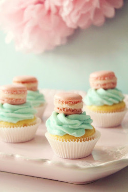 gastrogirl:  cupcakes with mini french macaron toppers. 